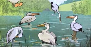 Giá trị và bài học từ câu chuyện