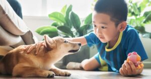 Tại sao bố lại quan trọng?