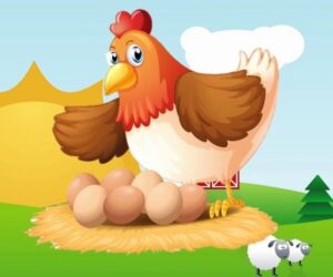 Bài học từ câu chuyện